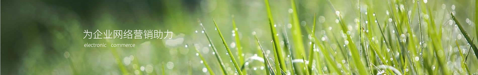 ŷܽƷ޹˾